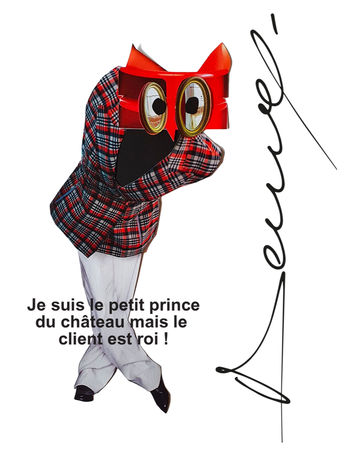 Le petit prince du château