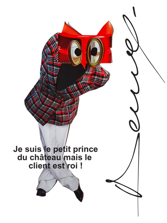 Le petit prince du château